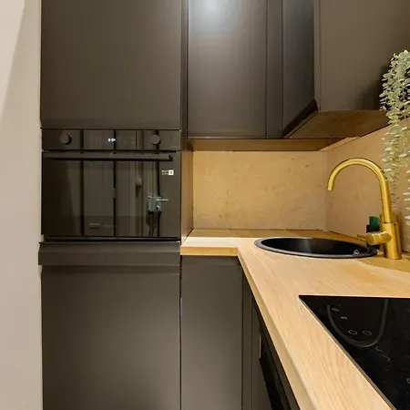 Champs-elysees With Air Conditioning And Office Apartment