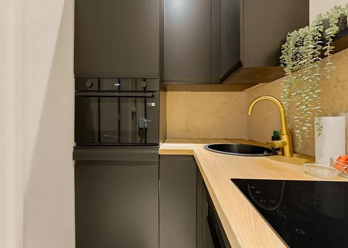 Champs-elysees With Air Conditioning And Office Apartment