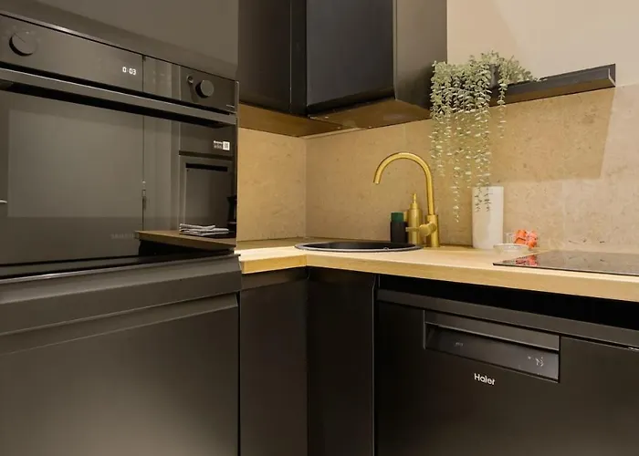 Champs-elysees With Air Conditioning And Office Apartment Paris